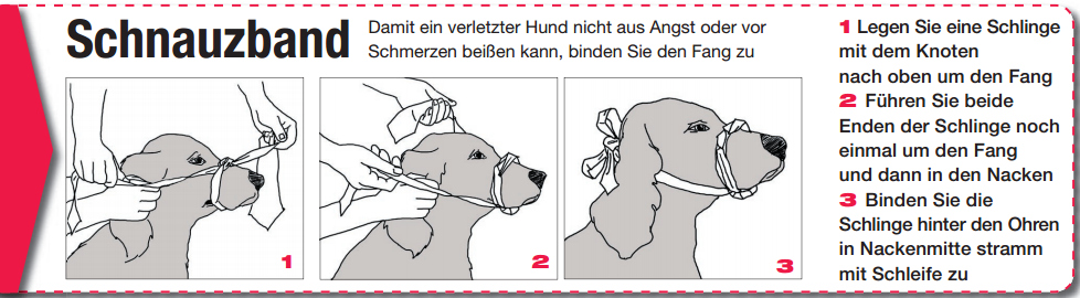 Schnauzband